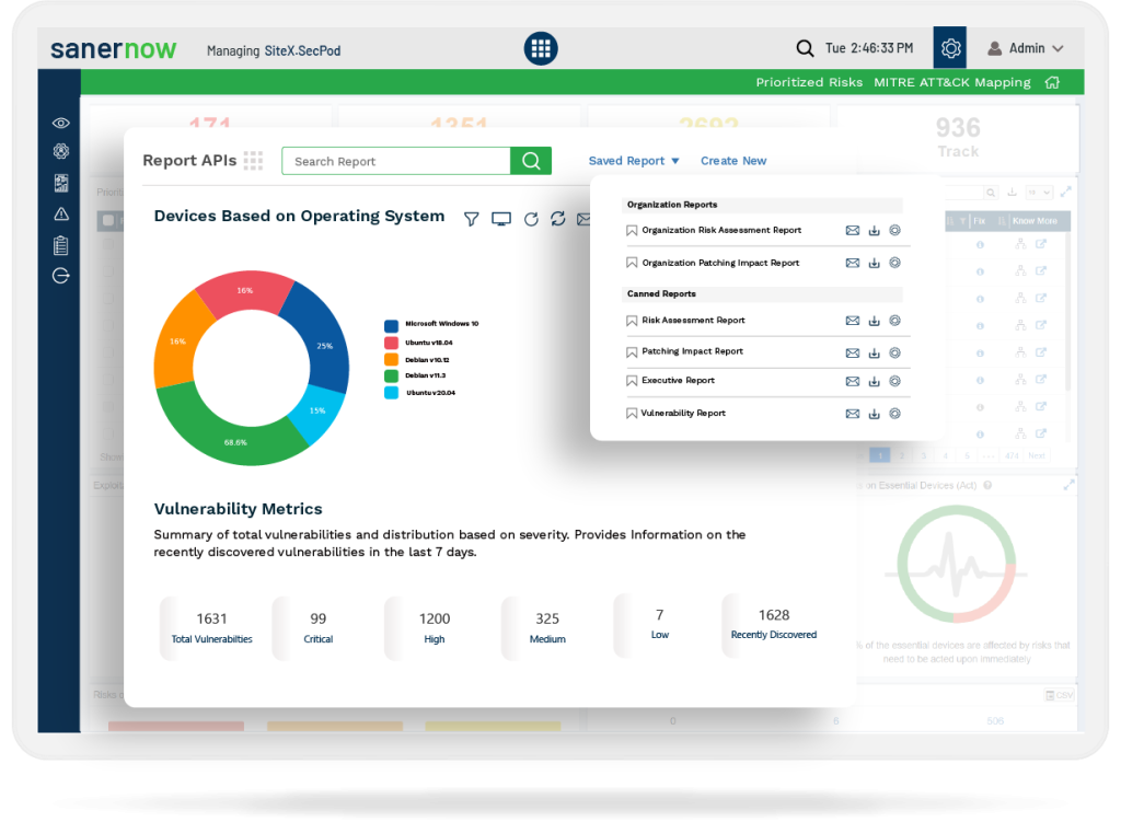 SanerNow Risk Assessment Reporting